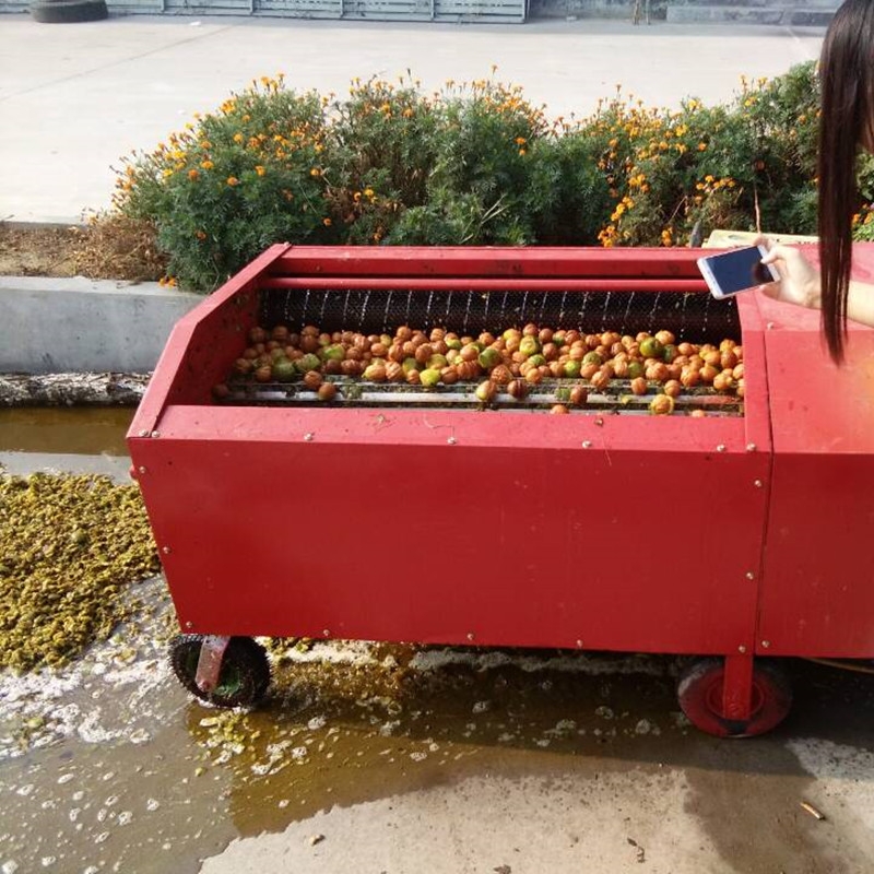 大型核桃自動清洗去皮機(jī) 青核桃剝殼機(jī)