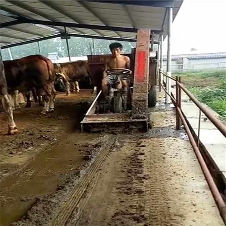 養(yǎng)牛場出糞車 大動力清糞車 自動除糞車