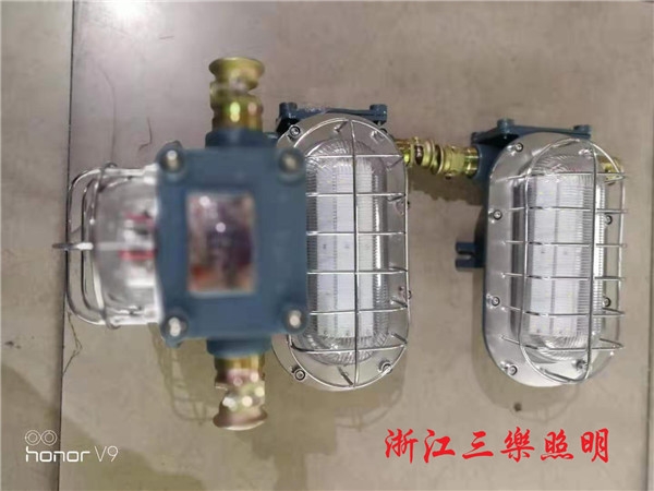 DGC18/127L(A) 礦用隔爆型LED支架燈