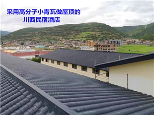 新聞:廣西桂林古建瓦款式多樣