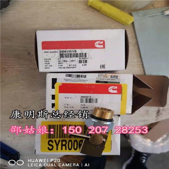 首鋼電傳動礦用切斷閥3096857/3096856