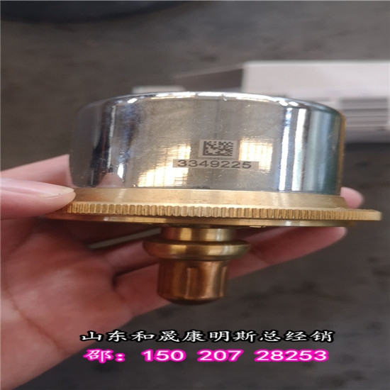 12缸北方重汽TR100重慶節(jié)溫器3629205