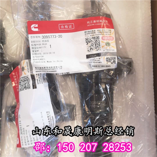 額爾古納市設(shè)備招標(biāo)3095773K19重康噴油器