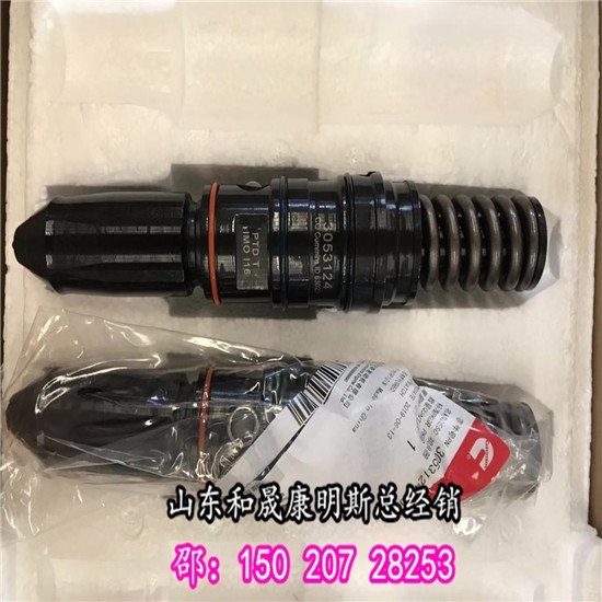 M11噴油器3406604（重油PT系列國內(nèi)總經(jīng)銷）