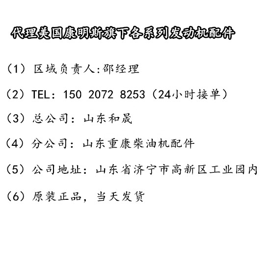 柳工起重機(jī)ISL9.5噴油器C4307452