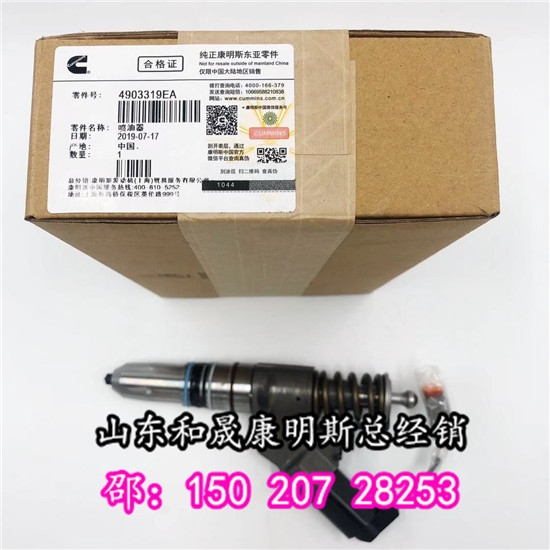 西康配件斷貨王-QSM噴油器4903319