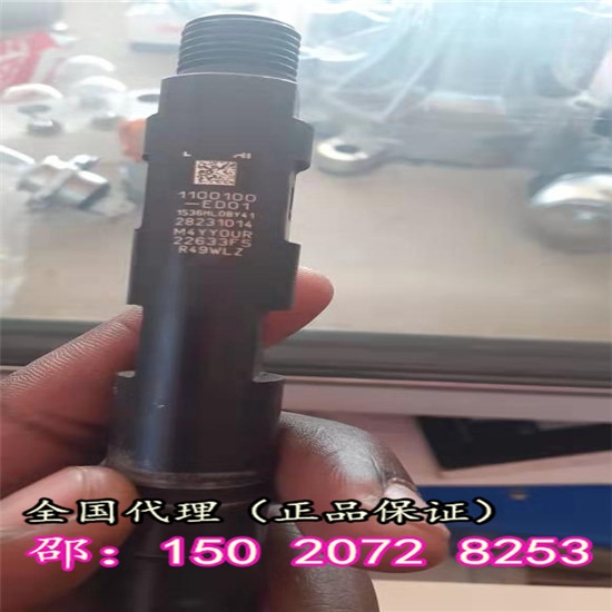 德爾福噴油器28231014ED01長城哈弗H5/H6用