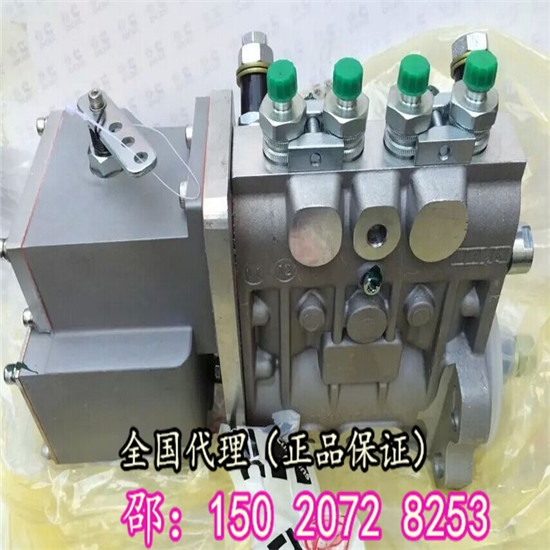 325馬力燃油泵C5258154柳康6L8.9中聯(lián)設(shè)備