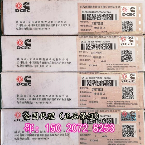 原車配件ISL東風康明斯C3975929噴油器-X