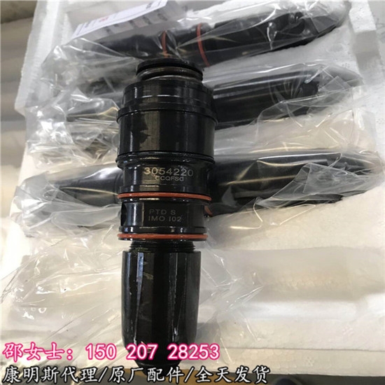 廈工推土機(jī)噴油咀NTA855噴油器4914505