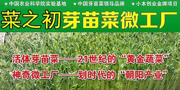 適當(dāng)“挨餓”竟然對身體有好處？反正我是信了