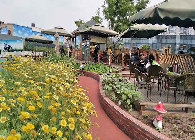 成都屋頂花園承建,屋頂花園