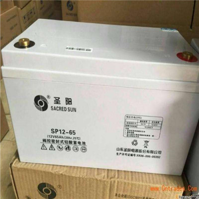 圣陽(yáng)GFM-200C蓄電池2V200AH太陽(yáng)能膠體電池