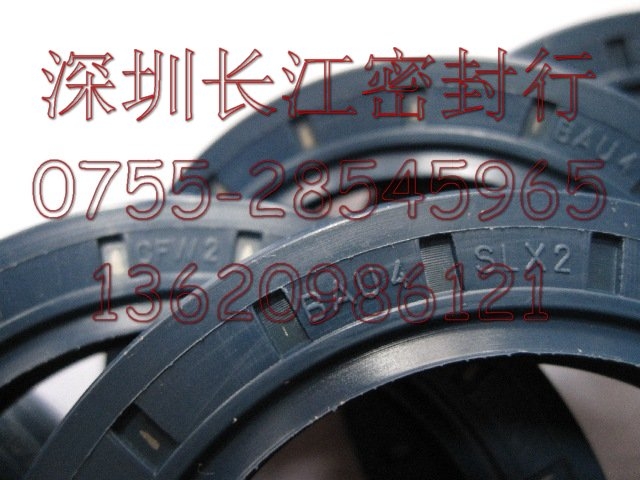 德國進(jìn)口 CFW BAUX2 28-47-7 進(jìn)口油封