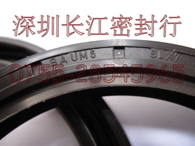 德國進(jìn)口 CFW BAUMSLX7  75-95-10耐高溫油封