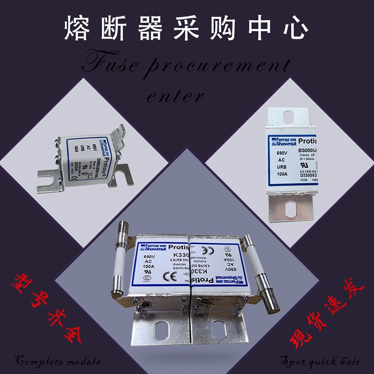 全新原裝巴斯曼快速熔斷器170M3117 170M3118 170M3119現(xiàn)貨