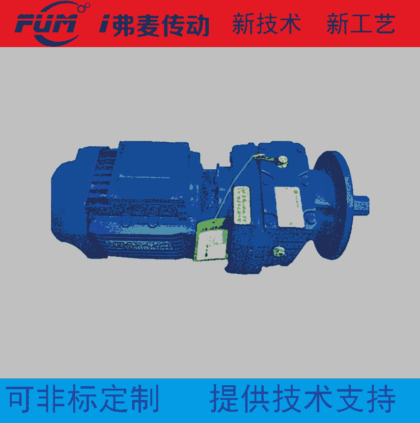 臥式混合機(jī)專用減速機(jī)