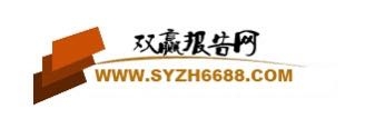 中國拉森鋼板樁行業(yè)市場深度調(diào)研及未來趨勢前景預測報告