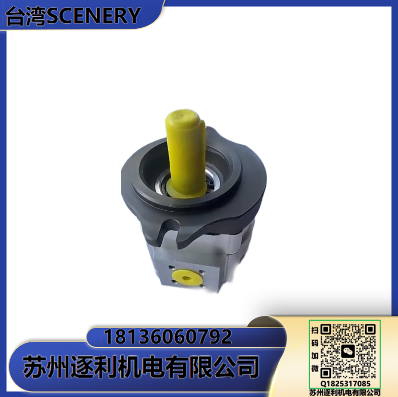 SCENERY液壓油泵S20V/S25V/S35V/S45V 注塑機 打包機葉片泵