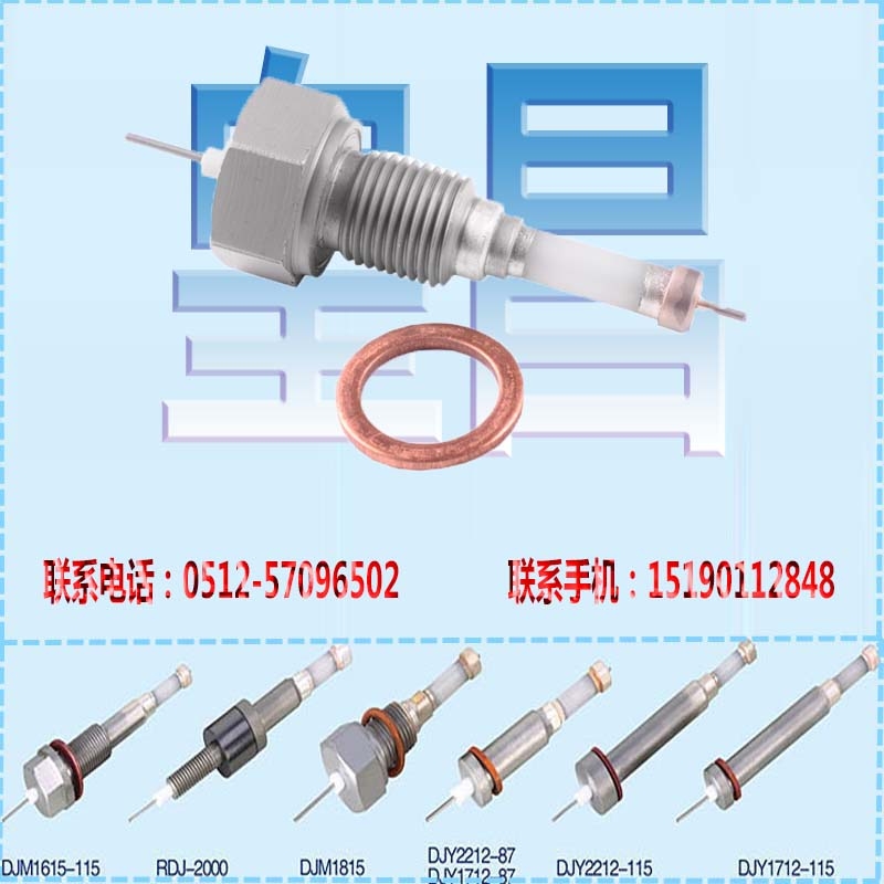 鍋爐測(cè)量筒水位電極臺(tái)灣臺(tái)北石墨水位電極RDJ2000E