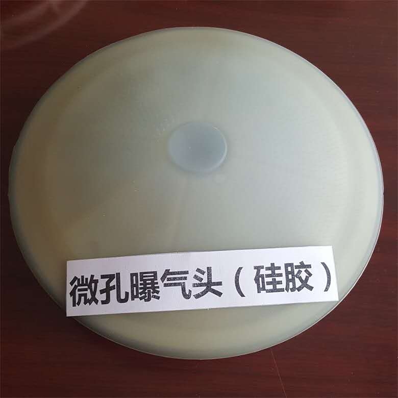 安徽滁州好氧池用曝氣器-曝氣頭生產(chǎn)廠家