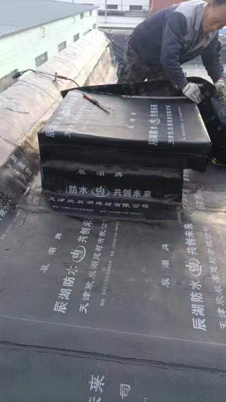 南開區(qū)專業(yè)防水堵漏 工程防水 樓頂防水 解決防水問題 創(chuàng)造安全環(huán)境