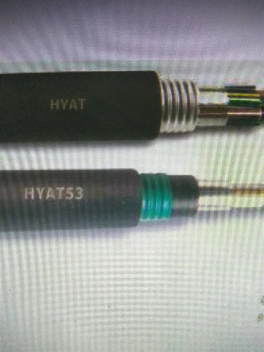 天聯(lián)牌電線電纜HYA53、HYAT53鎧裝通信電纜型號