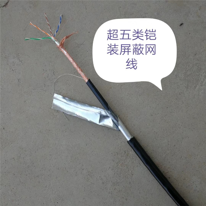 重慶DYJV-5KV 1*6 五千伏機場燈光線天聯(lián)品牌生產(chǎn)廠家