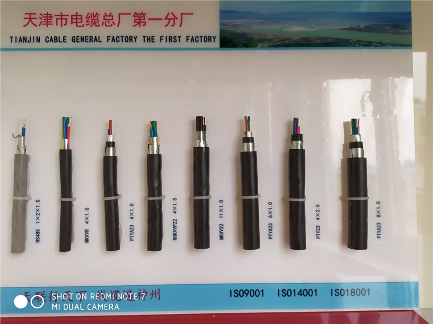 湖南天聯(lián)牌鐵路工程信號電纜PTYA23、PTYA22國標線