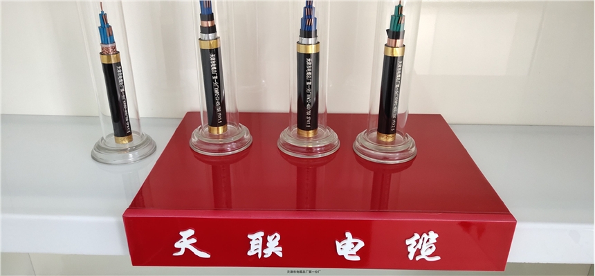 江蘇MHYAV 10*2*0.8天聯(lián)牌礦用通信電纜生產(chǎn)廠家