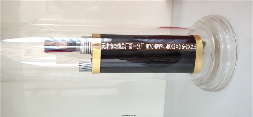 山西MHYVP 3×2×7/0.52天聯(lián)牌大對數(shù)通信電纜生產(chǎn)廠家