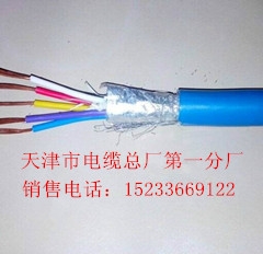 ZR-DJYPVPR22阻燃分屏蔽鎧裝計(jì)算機(jī)電纜