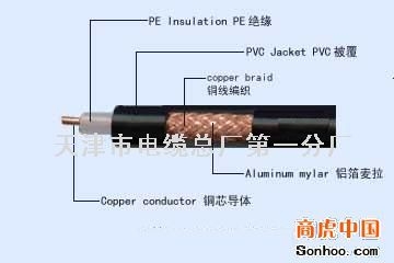 廠家直銷天聯(lián)牌至遼源市計算機電纜DJYPVP  10*2*0.5