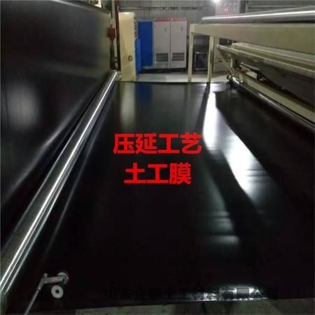 防城港質(zhì)量品質(zhì)好：電廠灰壩黑膜-使用壽命長