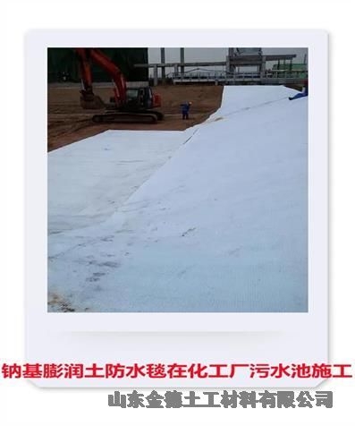 土工膜1.5mm厚嘉峪關垃圾填埋場復合防水毯膨潤土毯每平方6千克