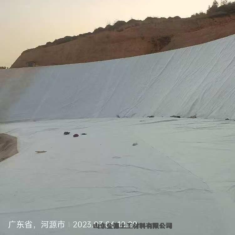 垃圾填埋場防滲抗日曬防水卷材 耐酸堿腐蝕土工膜