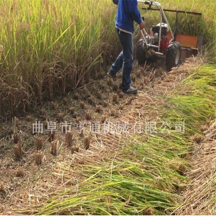 四輪車前置高桿作物割曬機(jī) 型號(hào)齊全割曬機(jī) 辣椒收割機(jī)