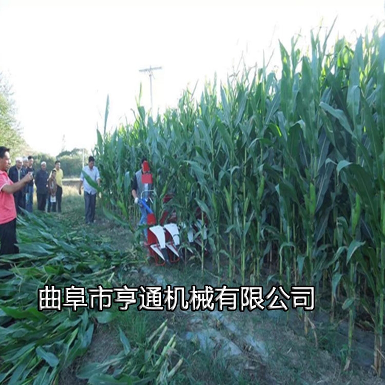 大豆玉米割桿機(jī) 小型家用玉米割曬機(jī) 汽油手扶式稻麥割曬機(jī)