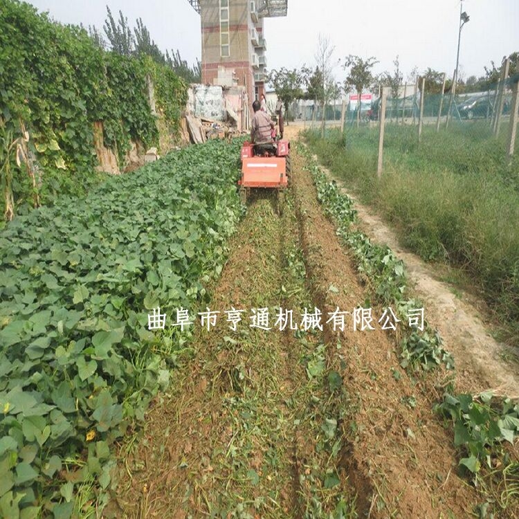 紅薯殺秧機廠家 四輪大型紅薯土豆甜菜花生殺秧機