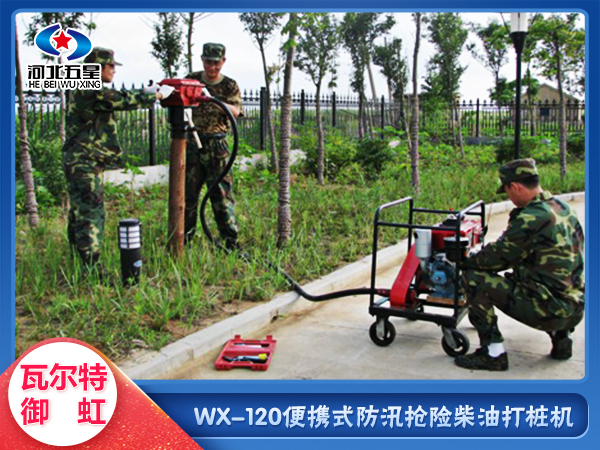 WX--200防汛搶險(xiǎn)液壓打樁機(jī) 河道加固用手持式打樁機(jī)