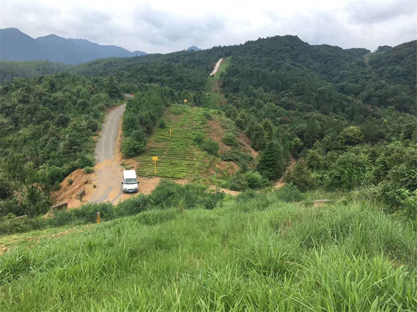 曲靖市富源縣邊坡綠化常用哪些草、花、灌植物