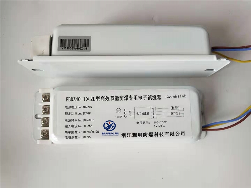 FBDZ36-1x2L型高效節(jié)能單腳專用防爆電子鎮(zhèn)流器