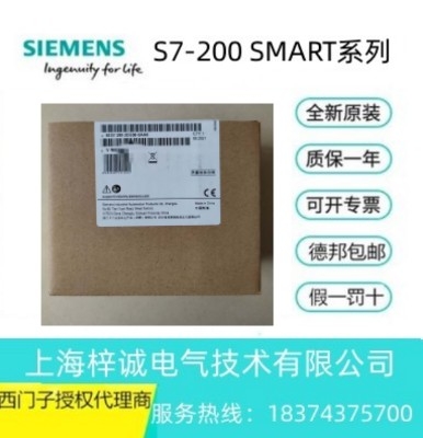 6ES72882DE080AA0 西門子數(shù)字量輸入模塊 西門子PLC上海代理 營銷