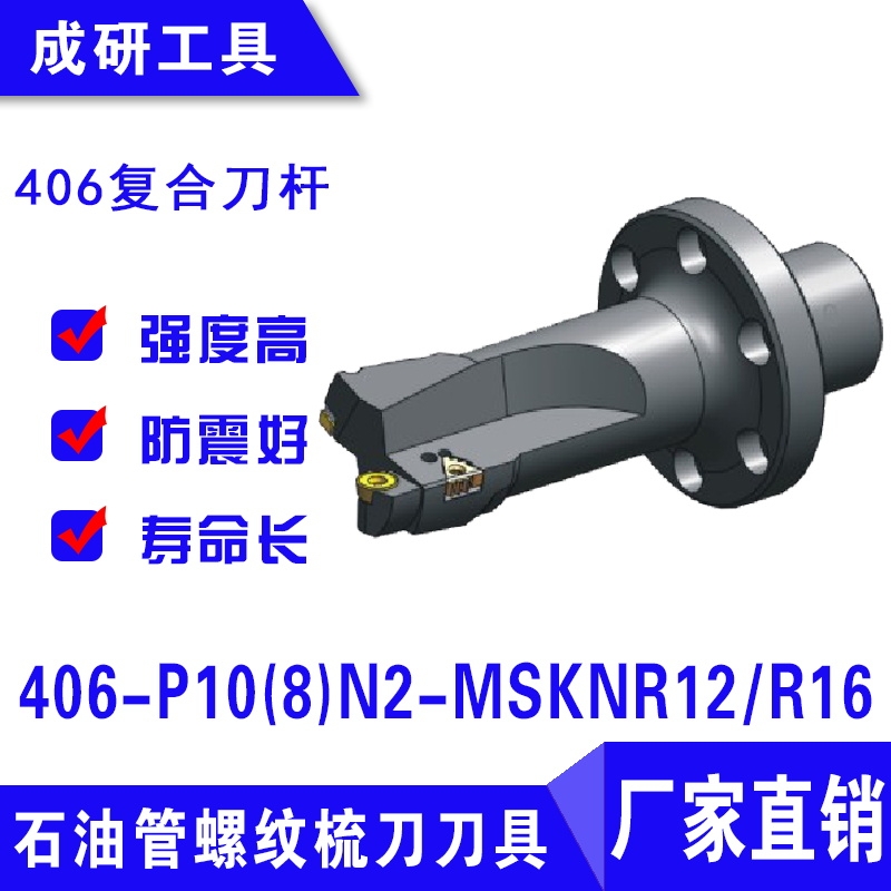 石油管螺紋刀具406復(fù)合刀桿406-P10(8)N2-MSKNR12R16