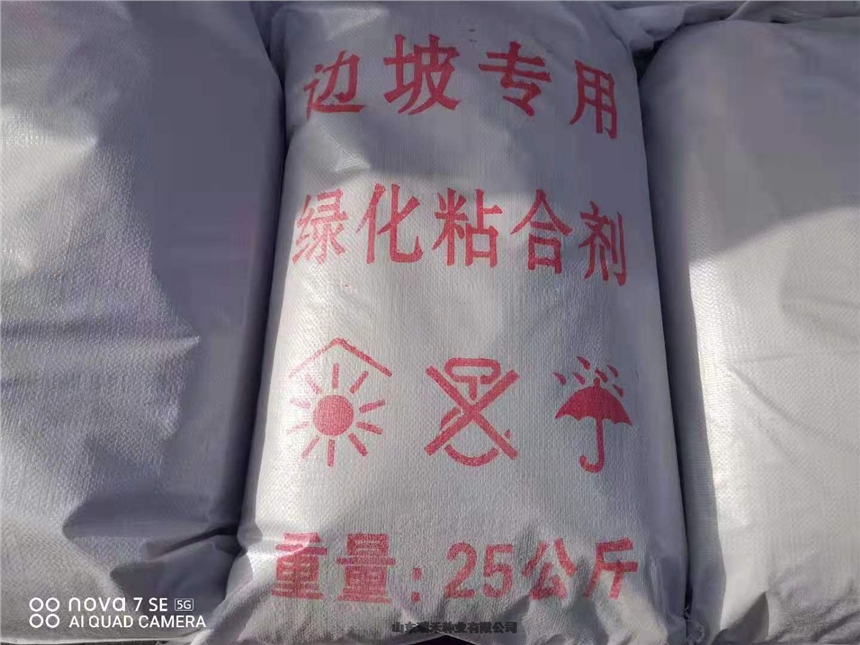 北方種護(hù)坡草種子波斯菊