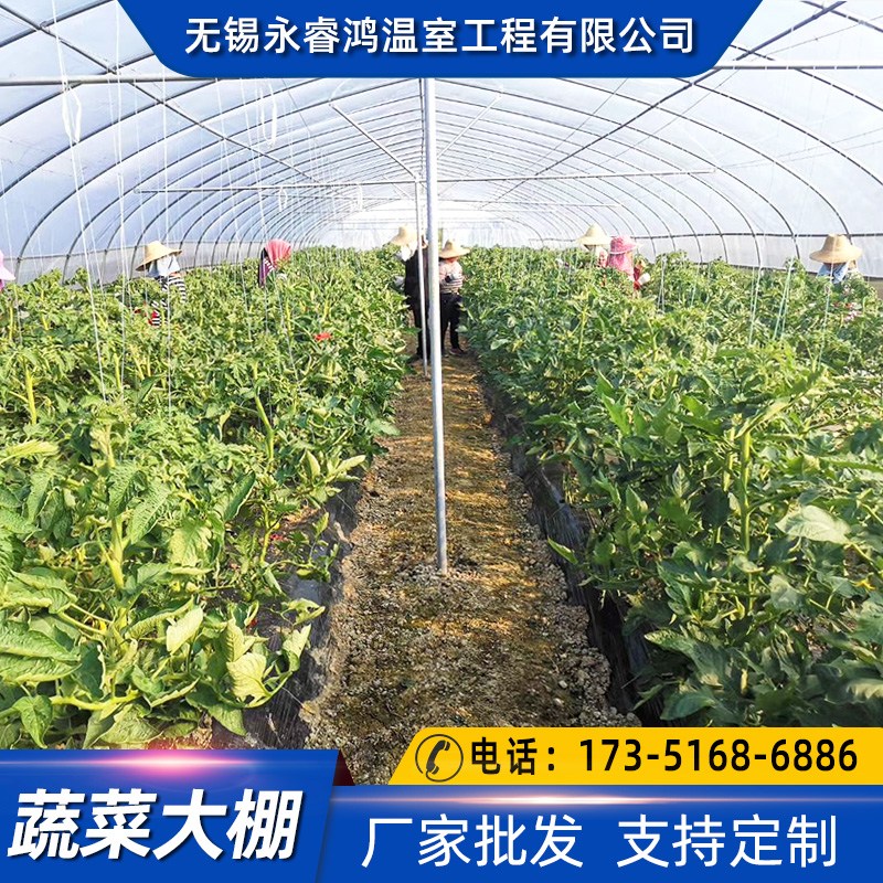 塑料大棚薄膜溫室大棚支持定制