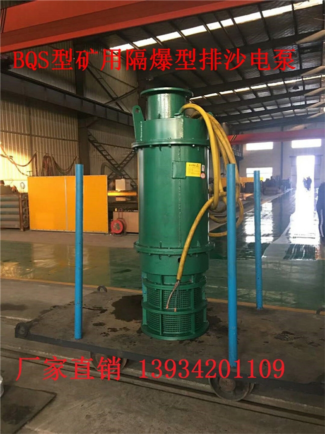 阿拉善BQW50-20×25-110/S礦用潛水式排沙電泵