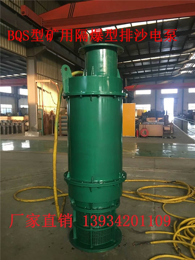 楚雄版納BQW35-41-9.2/NS60KW單電壓隔爆電泵