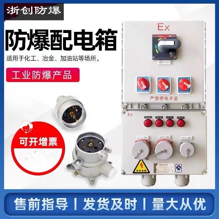 BXX51就地防爆檢修插座箱