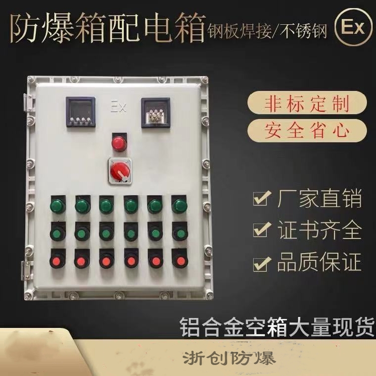 浙創(chuàng)非標(biāo)定制制藥化工防爆配電箱 一控一風(fēng)機(jī)防爆控制箱